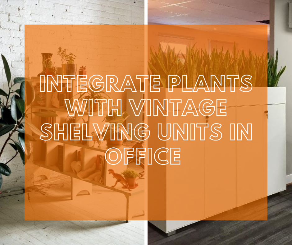Integrate Plants with Vintage Shelving Units in office